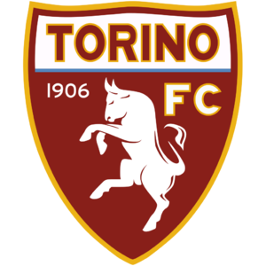 https://img.tempnfc.com/img/football/team/f0856c1b16c32245a8d2c702ffe89ac5.png